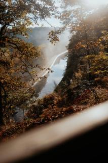 La Cabane dans les arbres du Domaine de la Forestière - 9