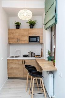 Modern Studio Near Rustaveli Ave - By Wehost - 3