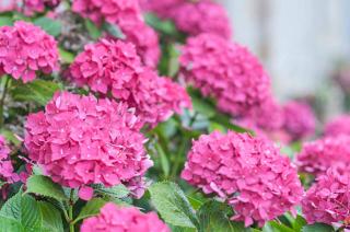 Appartement neuf pour 2 personnes - 3