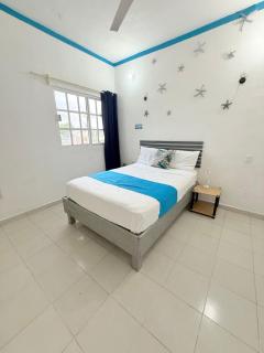 Mi Bello Cozumel - 3