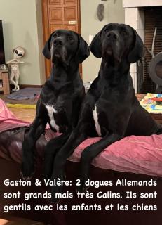 Chambres d'hôtes MoulinDT - 6