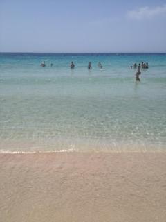 Stupendo Appartamento a Cala’n Bosch Minorca - 4