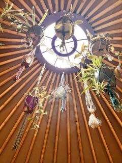 A Magical Cosy Garden Yurt - 9