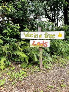 A Magical Cosy Garden Yurt - 3