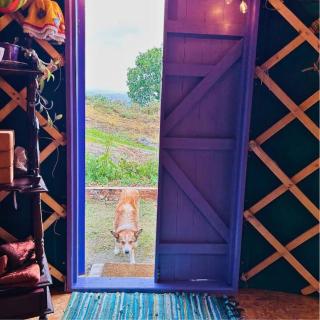 A Magical Cosy Garden Yurt - 2