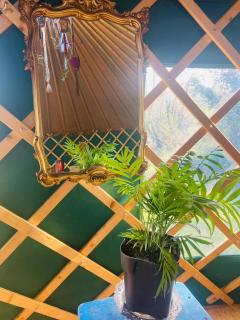 A Magical Cosy Garden Yurt - 1