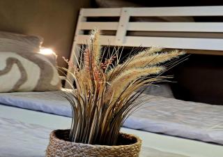 Gästehaus Alwin Diebold - 5 Gehminuten zum Europapark - 8