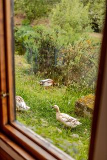 Serene Bantry Bay Cabin Retreat - 3