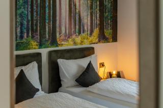 Kyrr Smart Mountain Retreat - 6