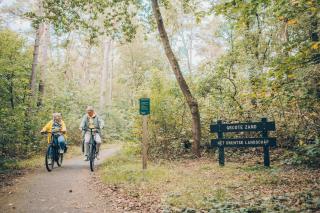 Boterbloem Wellness Chalet | 4 personen - 4