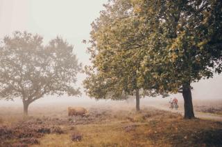 Vennenhof Wellness Bungalow | 6 personen - 2