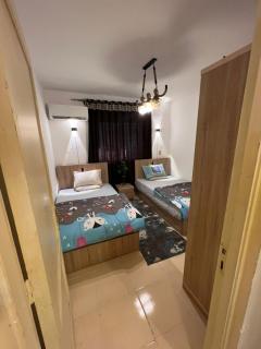 شقه المتحف - 1