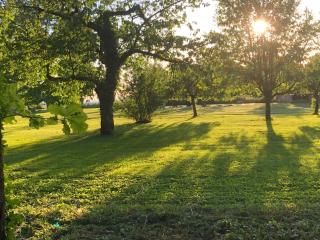 L'evidence - Bragny-sur-Saône - 1