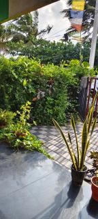 Peace wallaby beach home stay - 2