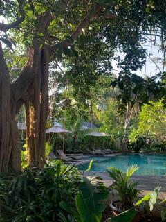 Udãra Hideaway Villa - 8