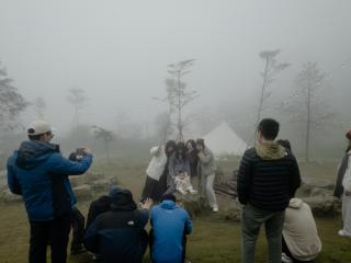 BASECAMP森林基地 I Glamping豪華露營-海拔820 雲海山嵐星空 - 2