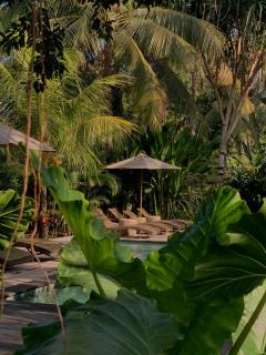 Udãra Hideaway Villa - 9