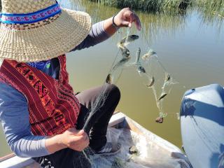 Titikaka sky view lodge - 2