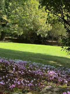 Manoir et Appartements avec piscine au Domaine de Bize Mirepoix - 4