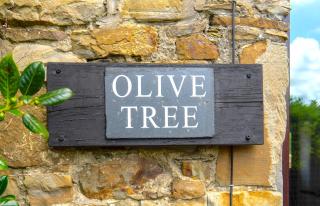 Finest Retreats - Olive Tree - 6