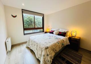 Urbano Costa Pucon - BBQ Laundry Parking Pool Wifi - 9