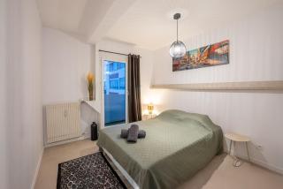 Modern apartment in Toulouse with 2 bedrooms - 4