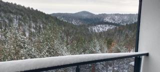 Divčibare apartman Doros - 1