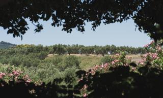 Artemis Vassilikos - 9