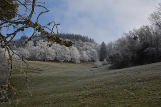 Atelier de l'Arbre-Lune - 5