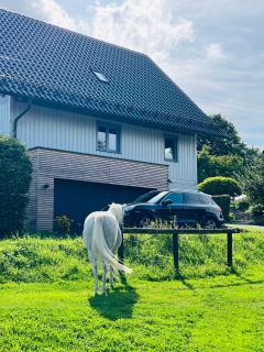 Ferienwohnung Derscheid - Much - 9