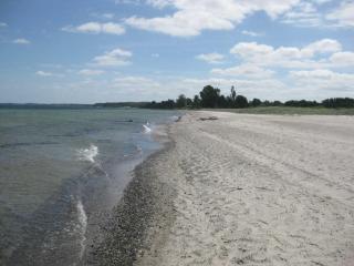 Ferienhaus Ostsee -  - 1