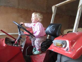 Ferienhaus Ostsee -  - 3