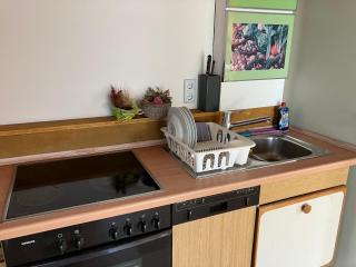 Martin's Apartment at Kirchheim near train station - 3