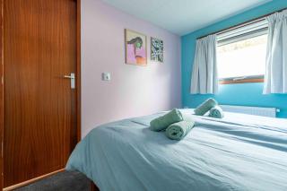 Tiny Cabin Sole op de Veluwe - 3