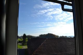 Landgasthof Franz Josef - Straßwalchen - 1