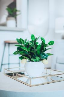 One Bedroom Apartment by Otolo Homes with Free Yas Theme Park Tickets - Abu Dhabi - 5