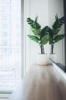 One Bedroom Apartment by Otolo Homes with Free Yas Theme Park Tickets - 1