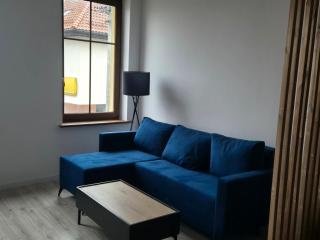 Apartament w centrum miasta - 8