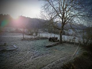 Atelier de l'Arbre-Lune - 8