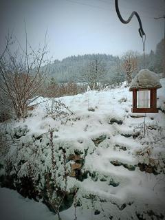 Atelier de l'Arbre-Lune - 9