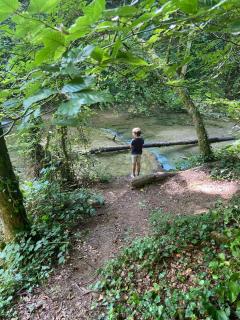 Cense des Possibles - chambre Forêt 2 personnes - Darcey - 5