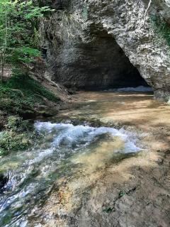 Cense des Possibles - chambre Forêt 2 personnes - Darcey - 1