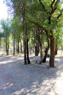 River Ridge Log Home - Inside Dinokeng Big 5 - 5