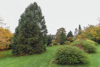 Calton Moor House - 2