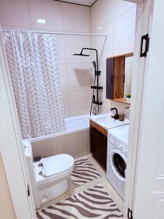 1 Room Apartment in Four Seasons - 2