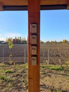 Room & Breakfast Olmo Tondo - 3