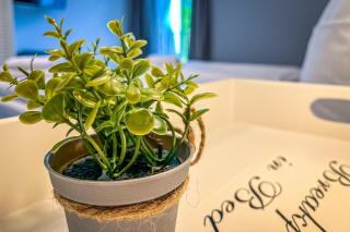 Baltischer Hof Wohnung 43 - 1