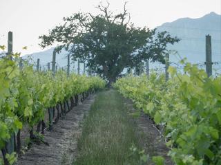 Gilgal Guest Accommodation - 4