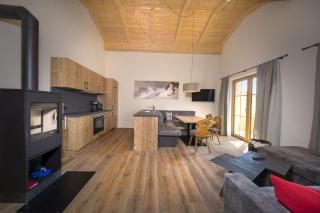 Trattenbach Chalet Rettenstein - 1