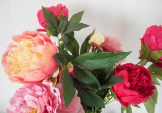 Pebbles Beach House By Air Premier - Seaford - 1